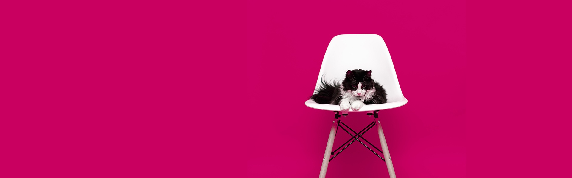 Banner de la tienda